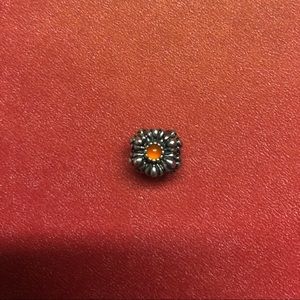 Pandora charm